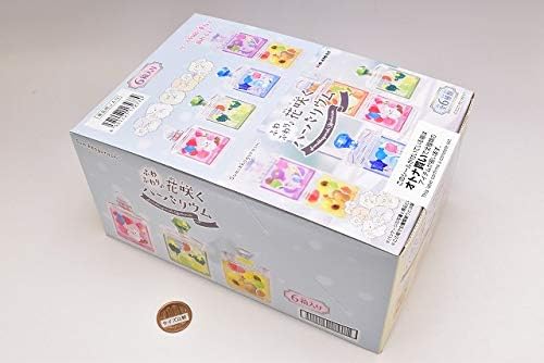Повторно менување минијатурна јапонија Сумико Гураши хербариум цветни терариум целосен сет 6 пакувања