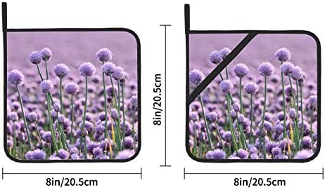 Гигантски кромид цвет цветање на квадратни тенџери за тенџере, држачи за тенџере со тенџере 2 парчиња држач за тенџере со џеб 8 × 8 инчи за