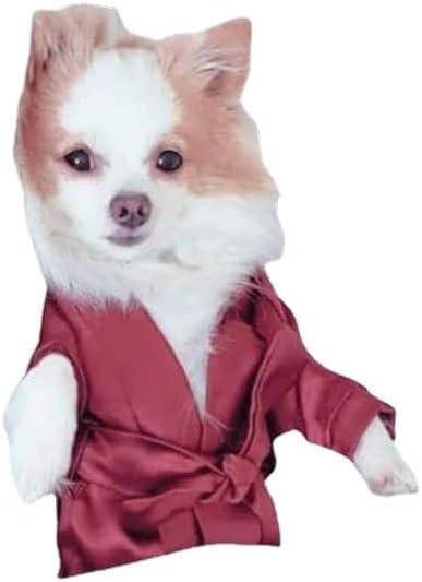Шандаф кучиња бањарка облека сатен чипка облека од пижами пижами миленичиња облечена