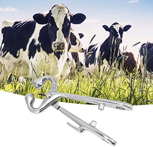 Крајни нос клешти, клешти од кравјо нос, алатка за влечење на бикови стабилна анти-каса за фарма