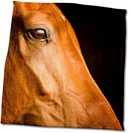 3drose профил на кафеав коњ во Махагони, округот Ланкастер, Пенсилванија - крпи