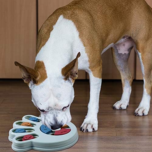 Фасон Интерактивни Куче Храна Загатка Играчка-Третираат Издавање Кучиња Бавно Фидер Зголемување НА КОЕФИЦИЕНТОТ На ИНТЕЛИГЕНЦИЈА Миленичиња