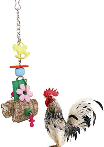 Пилешки играчки со природни играчки за џвакање на коски од коска