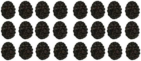 Делеон колекции рустикално кафеава шума од бор конус 24 парчиња фиока за леано железо влечење