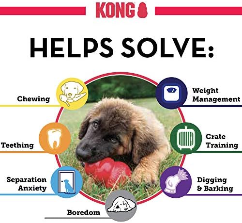 Конг-Класична Играчка За Кучиња, Издржлива Природна Гума-Забавна За Џвакање, Бркање и Носење - За Дополнителни Мали Кучиња