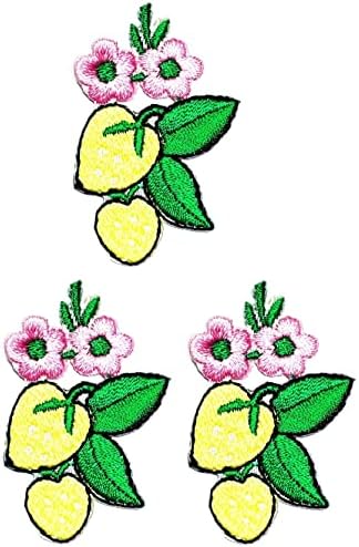 Кленплус 3 парчиња. Мини Жолта Јагода Овошје Розова Цветови Цртан Филм Извезени Железо На Шиење На Значка За Фармерки Јакни Капи Ранци