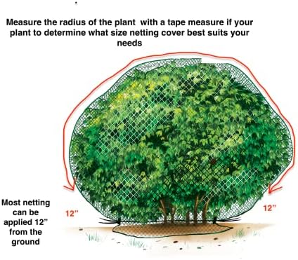 Покрив за мрежи на елени за растителност-големина 6 'x 6' за грмушки високи до 2,5-3 '. Отфрла елени од вашите растенија. Заштита