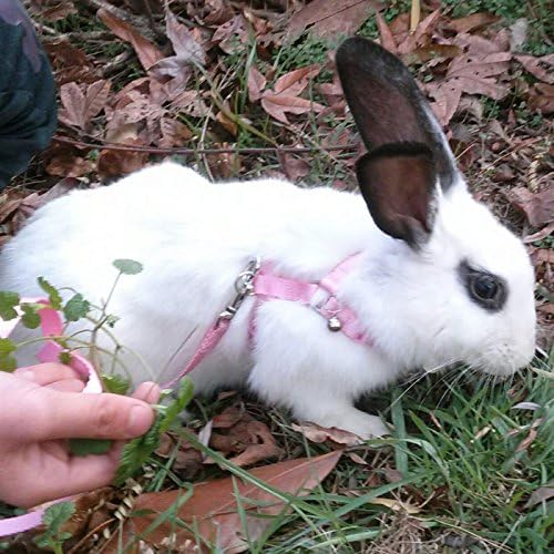 Зајак за зајаци со зајаче со прилагодлива мека најлонска прицврстувач на поводник