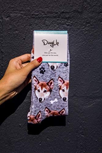 Чорапи на Divvyup - сопствени чорапи за кучиња - ставете го вашето куче на чорапи!