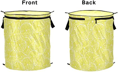 Свежи парчиња лимон се појавуваат алишта за перење со капакот за складирање на капакот за складирање на капакот за да се кампуваат домашна
