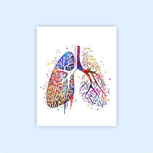 Dignovel Studios Необрачено 13x19 Човечка анатомија акварел уметнички принт сет на срцеви бели дробови brainидни печати DNC23