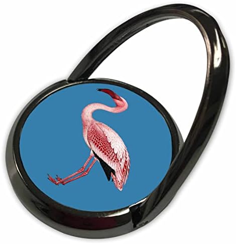 3Drose Pink Flamingo изолирана векторска уметност на сина боја - телефонски прстени