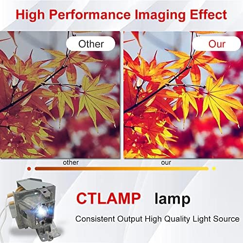 Ctlamp A+ квалитет BL-FP195B / BL-FP195A Замена на проекторот за ламба со сијалички со куќиште компатибилно со Optoma HD29Darbee HD29DSE